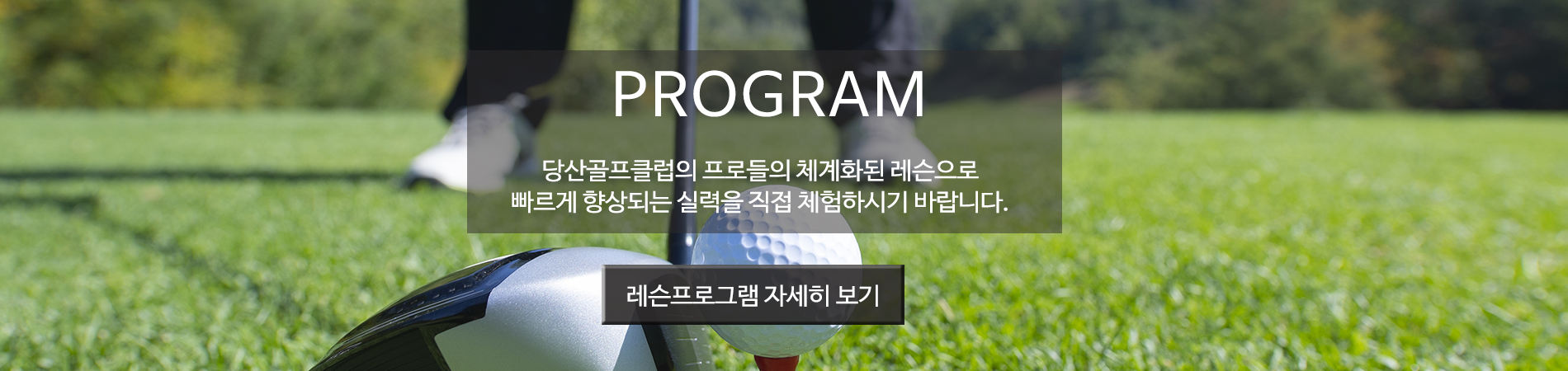 레슨프로그램 바로가기 배너